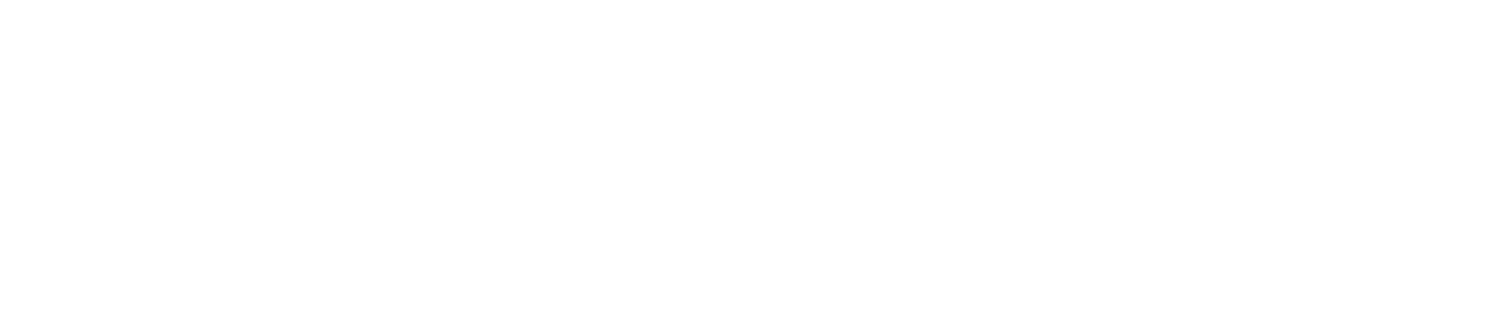 Codename King Life logo